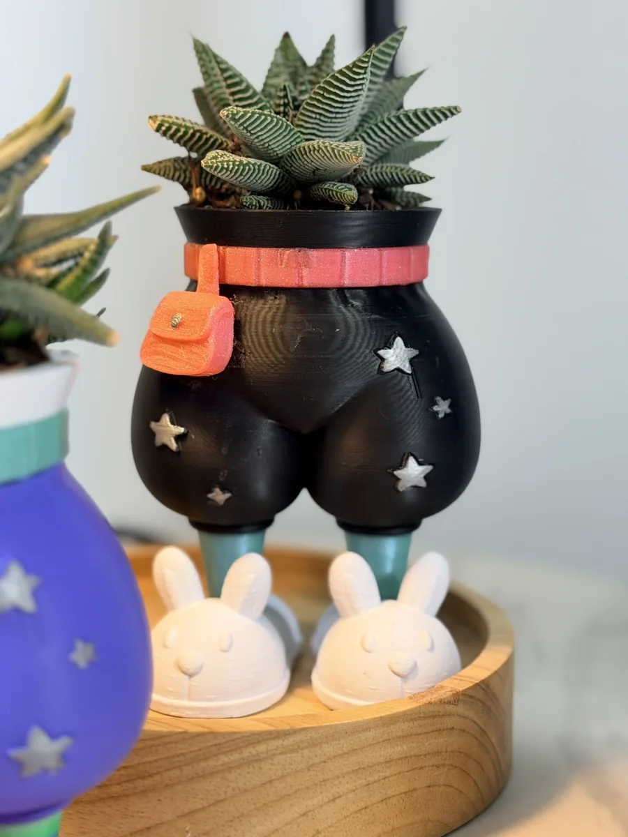 Original close-up of the black Fat Pants planter with a striped succulent